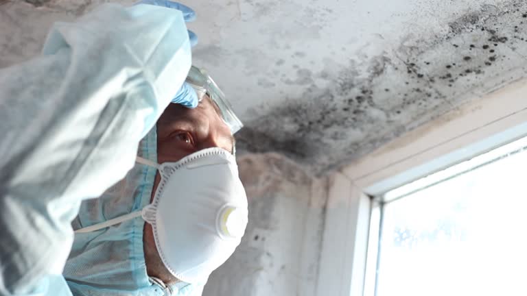 Best Mold Remediation for Healthcare Facilities  in Highland, NY